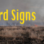 BirdSigns Web cover image